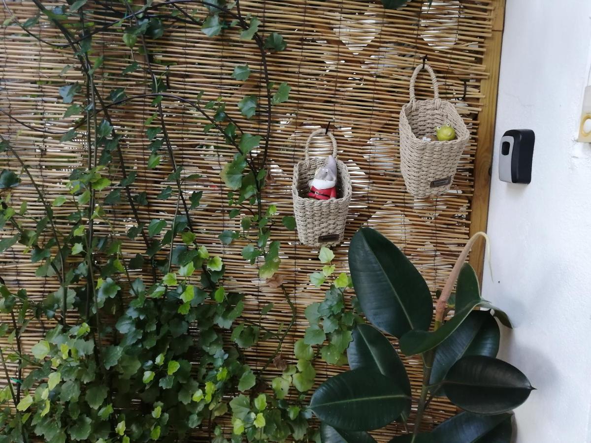 Olga'S Cozy Nest , Apartment In Ano Korakiana. Ngoại thất bức ảnh