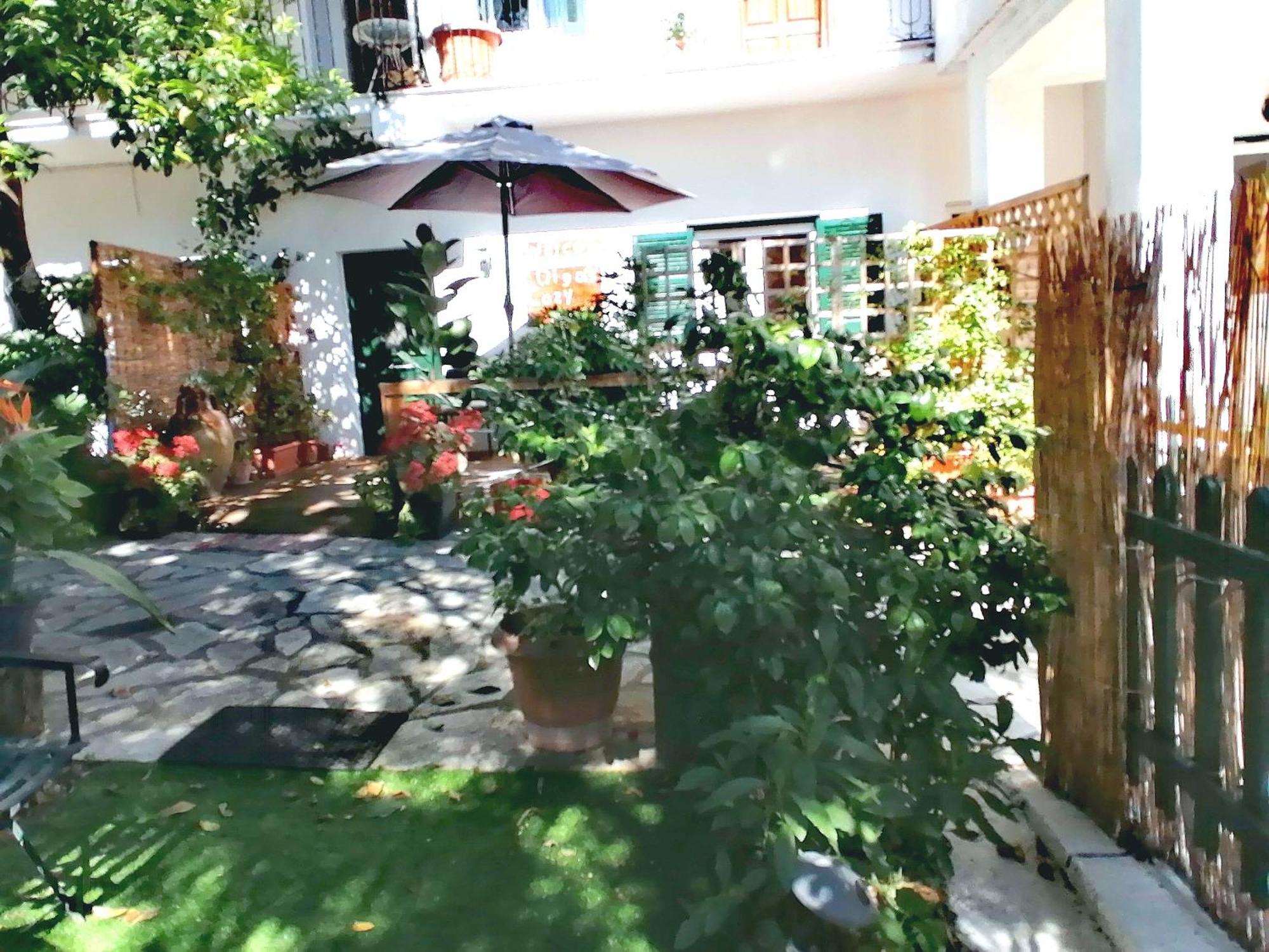 Olga'S Cozy Nest , Apartment In Ano Korakiana. Ngoại thất bức ảnh