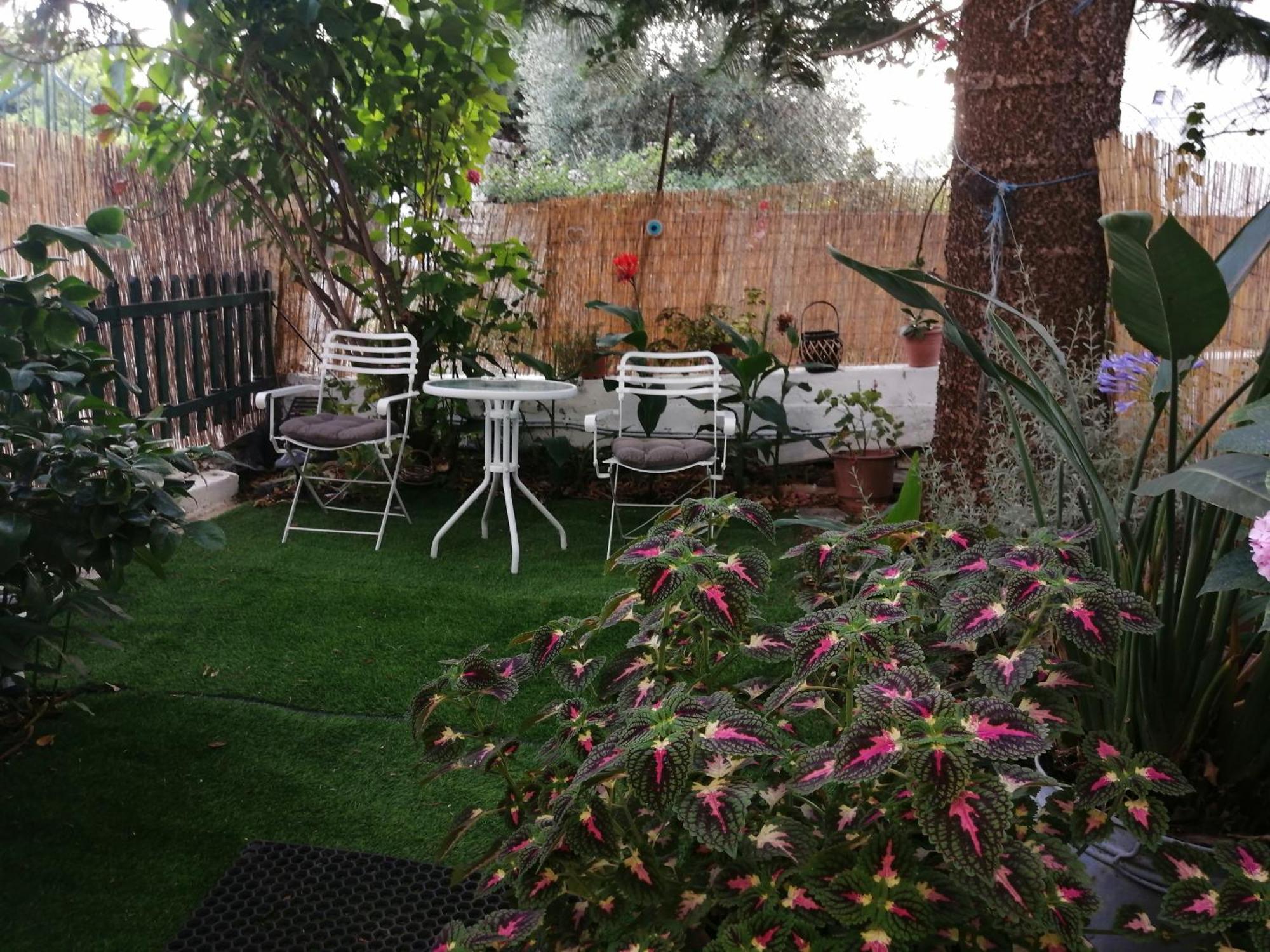 Olga'S Cozy Nest , Apartment In Ano Korakiana. Ngoại thất bức ảnh